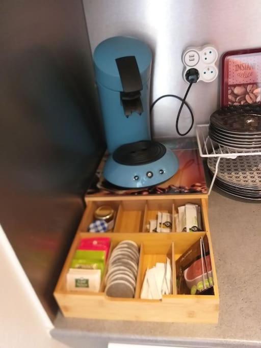L'Ainstant Appartement Bellegarde-sur-Valserine Buitenkant foto